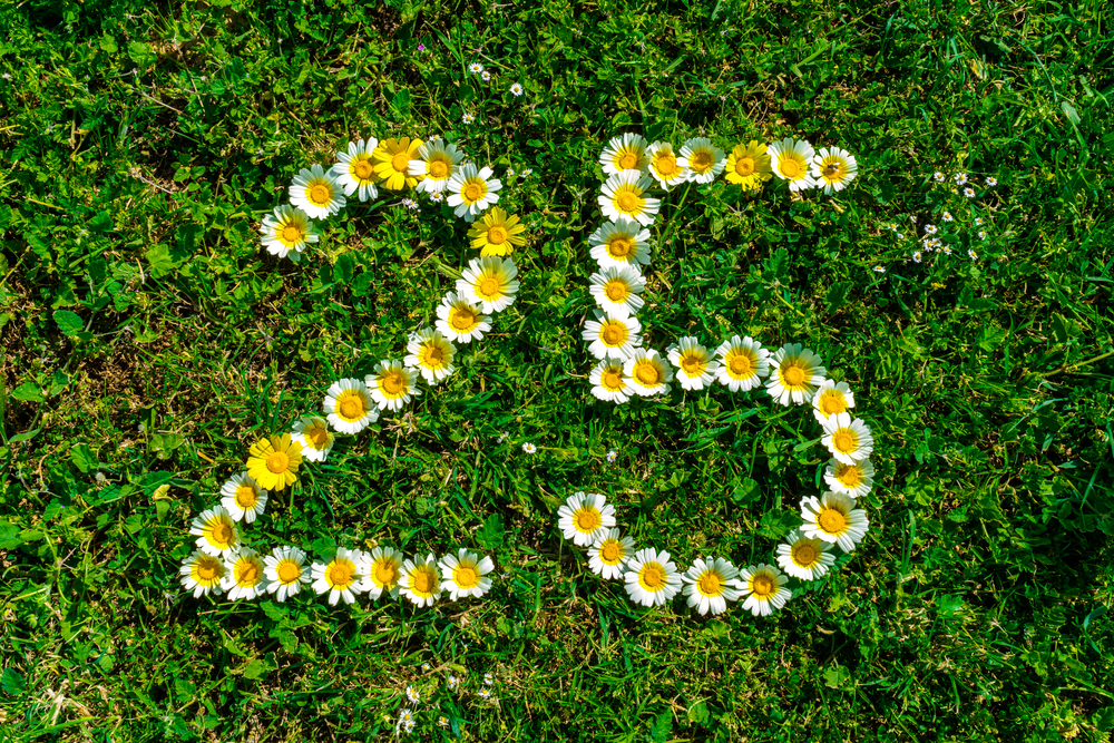 25th Wedding Anniversary Flowers